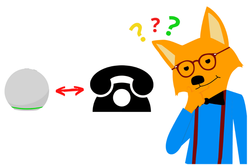 Smarter Fuchs stellt sich die Frage, ob man mit einem Alexa Echo auch ins Festnetz telefonieren kann